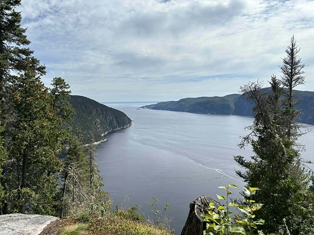 Beluga trail 2025 à Tadoussac