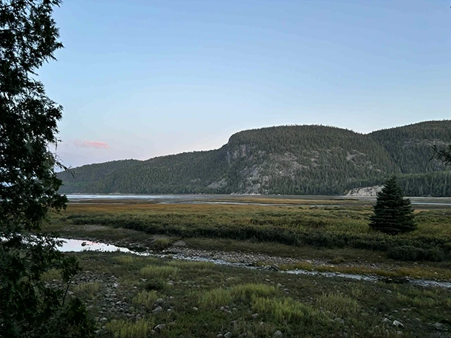 Beluga trail 2025 à Tadoussac