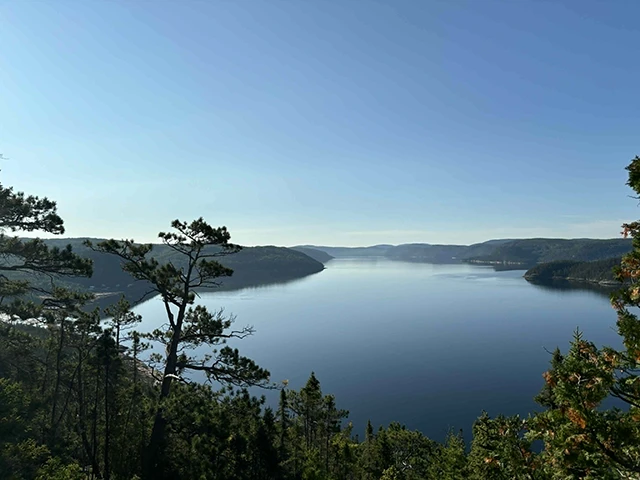 Beluga trail 2025 à Tadoussac