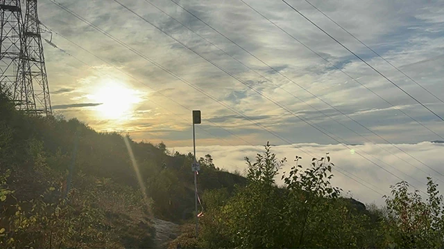 Beluga trail 2025 à Tadoussac