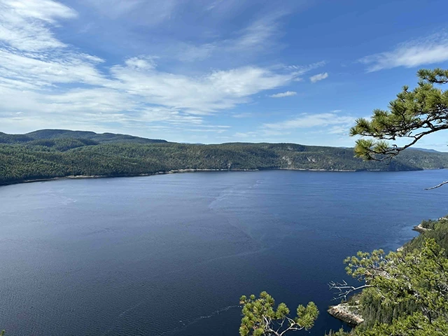 Beluga trail 2025 à Tadoussac